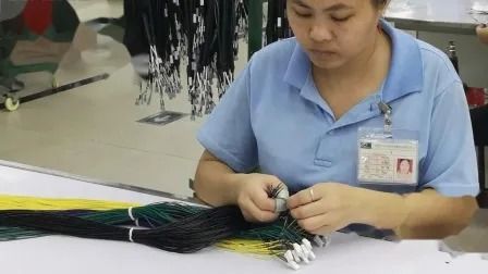 Customized IP68 IATF16949 Certified Automotive Wire Harness with High-Quality Molex Connectors